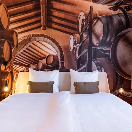 Dormio Wijnhotel Valkenburg Hotell Valkenburg aan de Geul