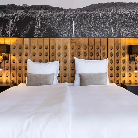Dormio Wijnhotel Valkenburg 4* Валкенбург