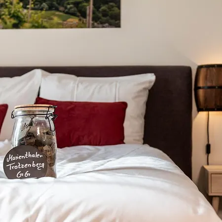 Ξενοδοχείο Dormio Wijnhotel Valkenburg