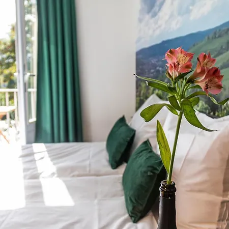 酒店 Dormio Wijnhotel Valkenburg 4*