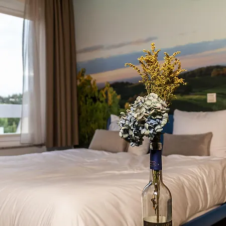 Dormio Wijnhotel Valkenburg 酒店 法尔肯堡