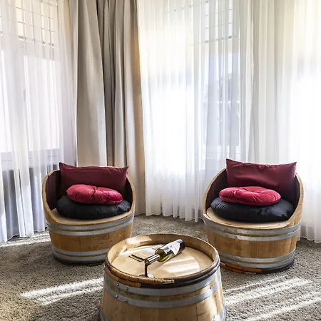 Dormio Wijnhotel Valkenburg 酒店 法尔肯堡
