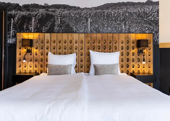 Dormio Wijnhotel Valkenburg 4* 法尔肯堡