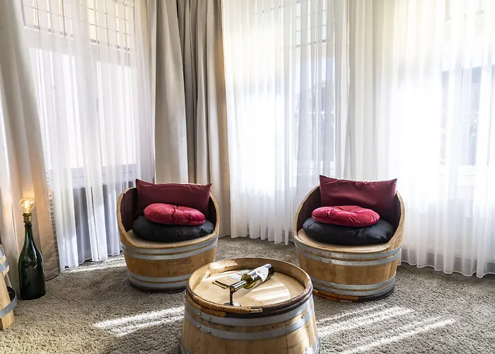 Dormio Wijnhotel Valkenburg ホテル ファルケンブルフ