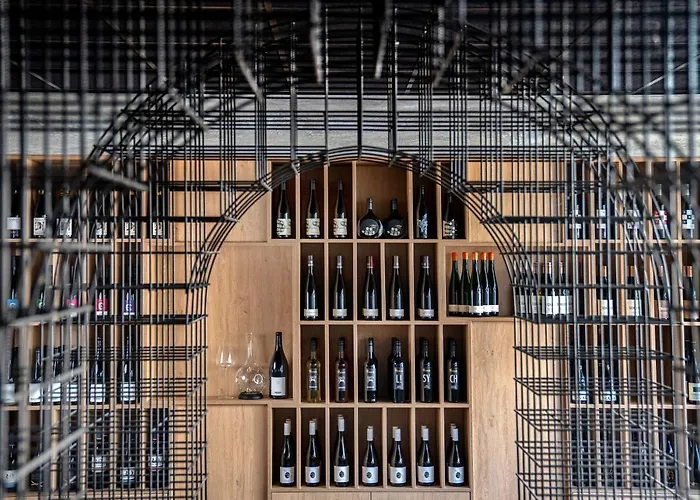 Dormio Wijnhotel Valkenburg 4* ファルケンブルフ