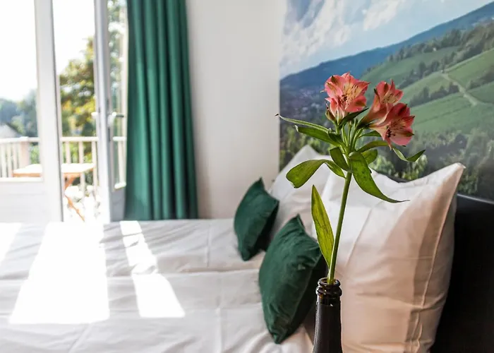 ホテル Dormio Wijnhotel Valkenburg 4*