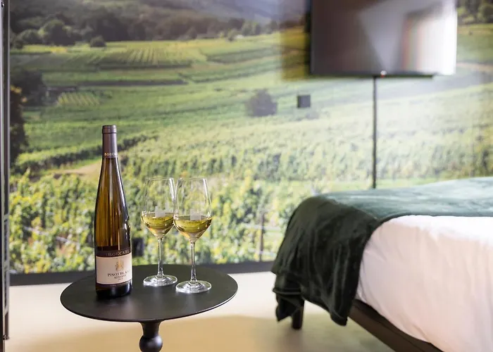 Dormio Wijnhotel Valkenburg ホテル 4*